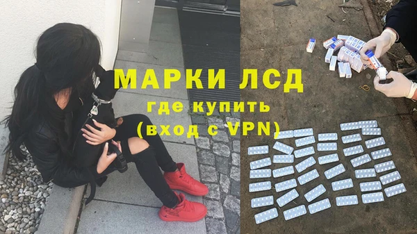 PSILOCYBIN Каменка