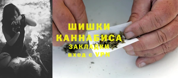 PSILOCYBIN Каменка