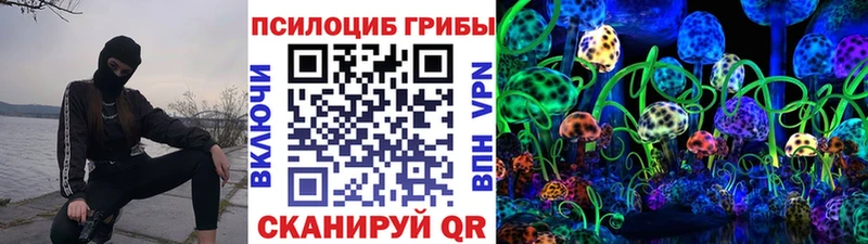 Купить  Енисейск  Псилоцибиновые грибы прущие грибы 